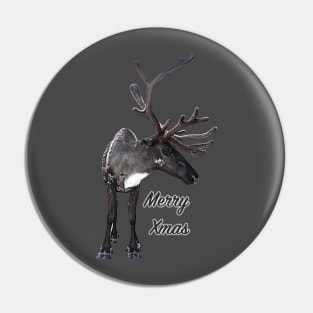 Santa Claus Reindeer Pin