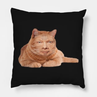 Eckcat Tolle Zen Master Cat Eckhart Tolle Pillow