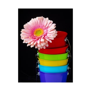 Pink Daisy In Colorful Buckets T-Shirt