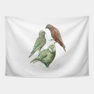 Three native parrots of New Zealand Tapestry