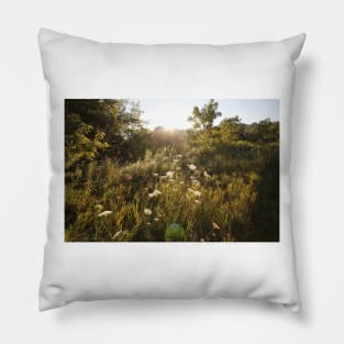 Queen Anne&#39;s Lace at Sunrise Pillow