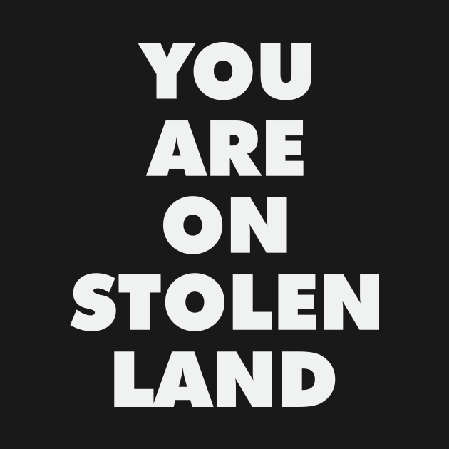 Stolen Land USA Social Justice Activist Native Justice TShirt