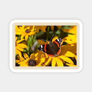 Red Admiral; Yellow Flower Magnet