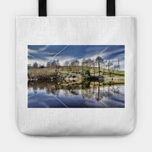 Healey Dell Pool Tote