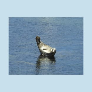 Harbor seal, marine life, wildlife gifts T-Shirt