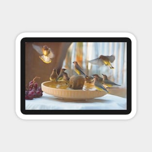 Painted Waxwings Magnet