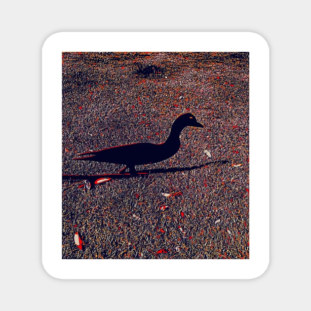 Duck Duck Shadow Magnet by Tovers