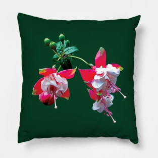 Fuschia - Cluster of Fuschia Pillow