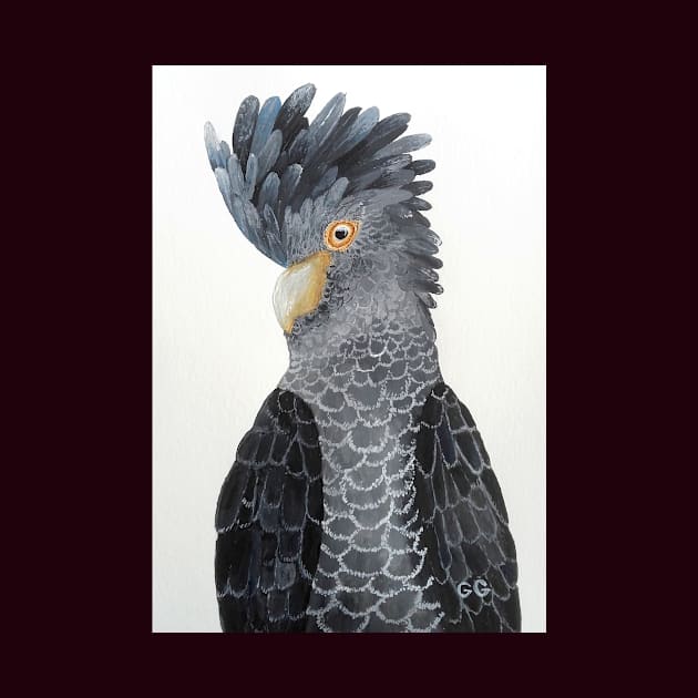 Black Cockatoo - bird art - painting by GarryGreenwood