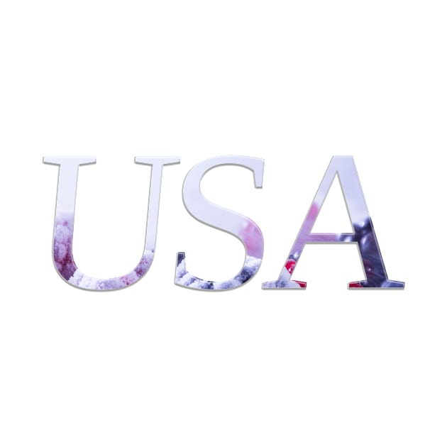 USA by afternoontees