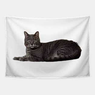 Baxter - Male Cat Tapestry