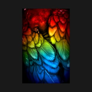 Blackbird - Rainbow Edition T-Shirt