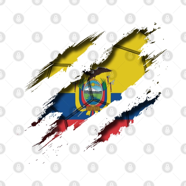 Ecuador Football by blackcheetah