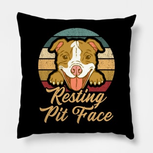 Resting Pit Face - Vintage Retro Sunset Pillow