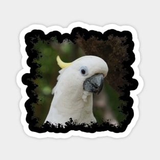 Cockatoo Magnet