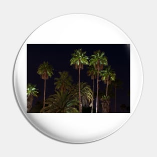 Palm Trees lit with lights Pin