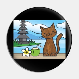 summer vacation Pin