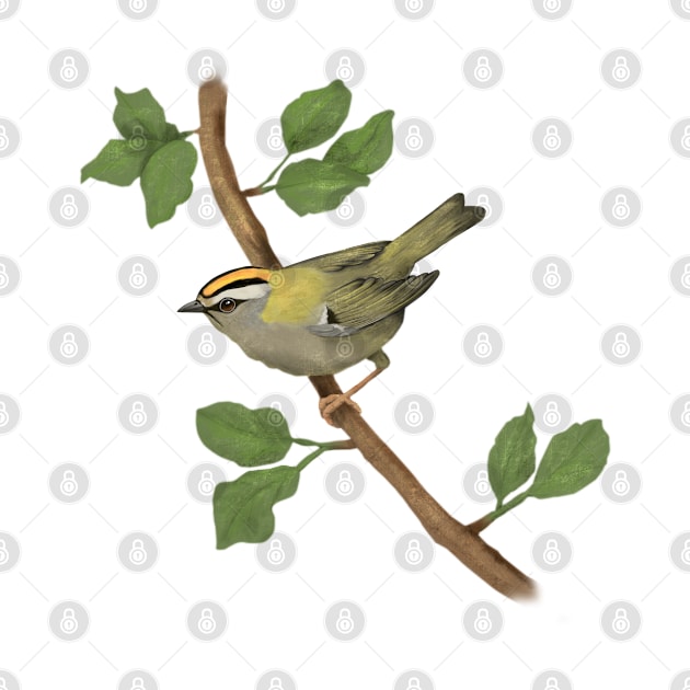Common firecrest digital drawing by Bwiselizzy