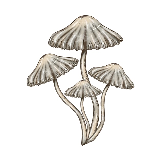 Mushroom Master Toadstools by Mushroom Master