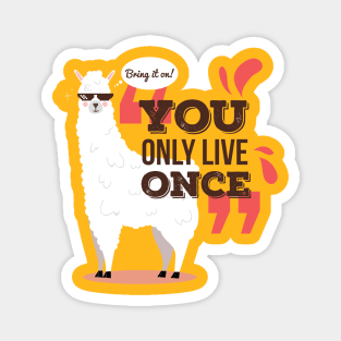 You Only Live Once Magnet