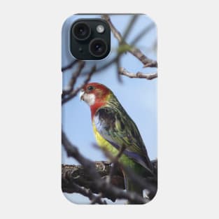 Rosella Parrot Phone Case