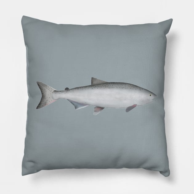 Chinook Salmon - Ocean Phase Pillow by FishFolkArt