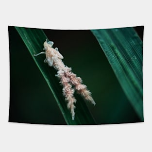 Leafhopper Tapestry