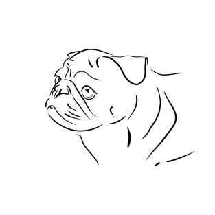 Pug dog line drawing T-Shirt