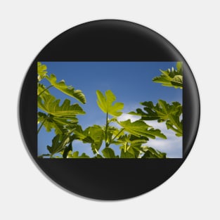 Fig Leaves Pin