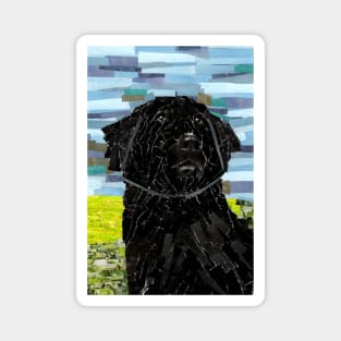 Newfoundland Dog Collage Magnet