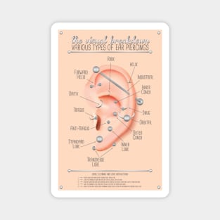 Ear Piercing Infographic Chart Magnet