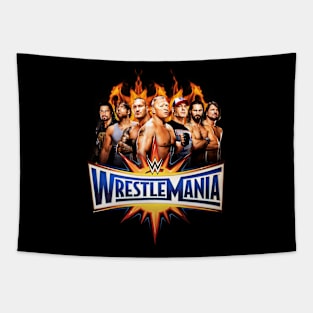 Wwe Smackdown Tapestry