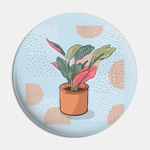 Maranta leuconeura tricolor - crazy plant person Pin by tostoini