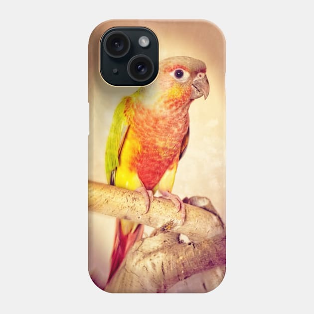 Pineapple Greencheek Conure Bird Pet Avian Phone Case by Jim N Em Designs