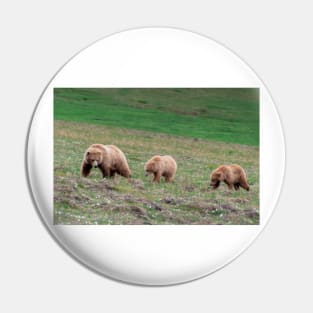 Mama Grizzly Bear and Two Cubs Pin