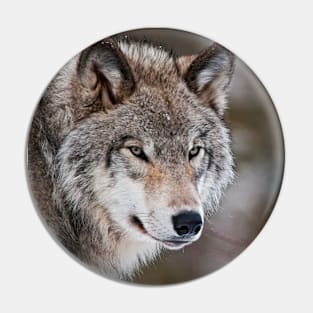 Grey Wolf Pin