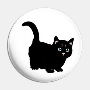 cat lover gifts Pin