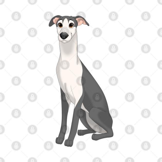 Black & White Whippet Dog by millersye