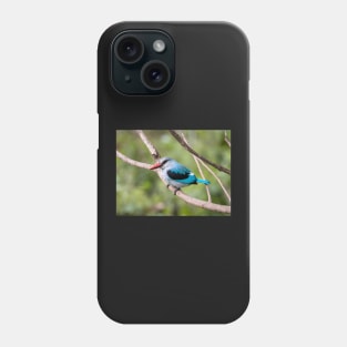 Woodland Kingfisher, Ngorongoro Crater, Tanzania Phone Case