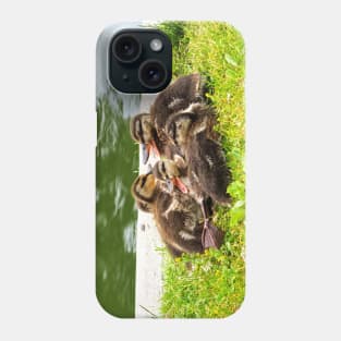 Canada Geese Goslings Huddling Together Phone Case