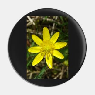 Lesser Celandine Pin