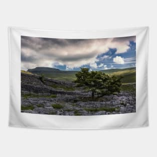 Ingleborough Top Tapestry