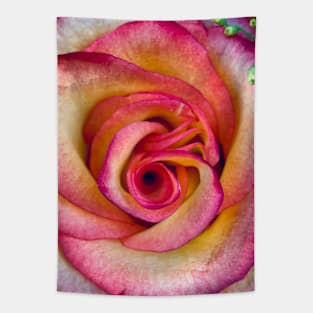 Pink Rose Tapestry