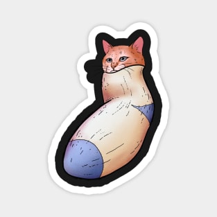 Cat in a sock Magnet