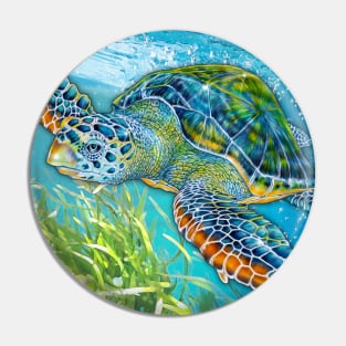 Sea Turtle Pin