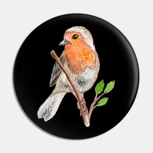 Robin Red Breast Bird Watercolor Pin