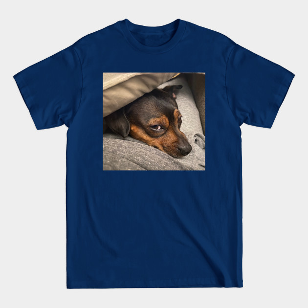 Discover Chi Got My Eye on You! - Chihuahua Dog Lover - T-Shirt