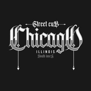 Chicago  illinois T-Shirt