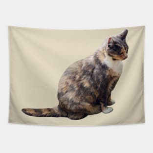 Tabby Cat in Shades of Brown Tapestry