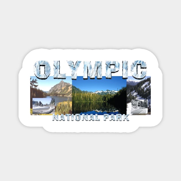 Olympic National Park Magnet by teepossible